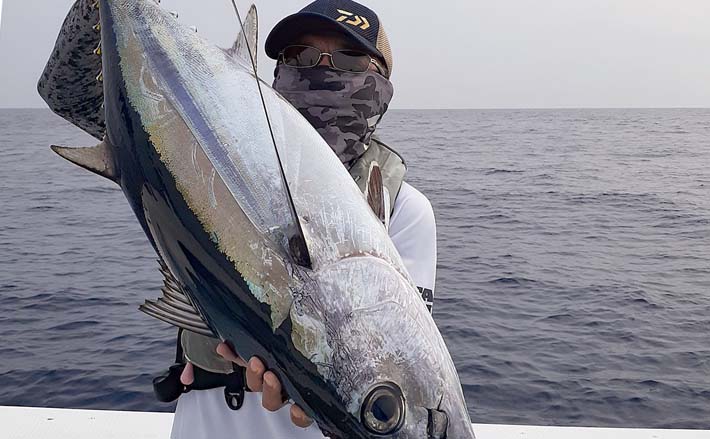ジギングでビンチョウマグロ15kg級 船中ダブルヒットも【志摩沖