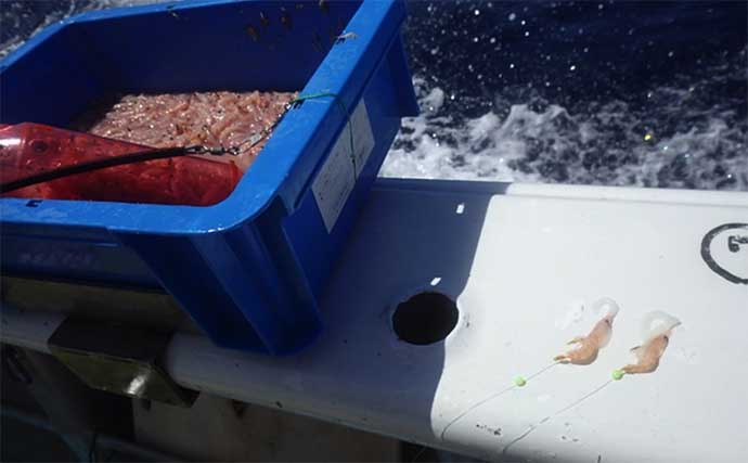 大物釣りのメッカ『銭洲』遠征　船中30kg級カンパチ浮上【静岡・舵丸】