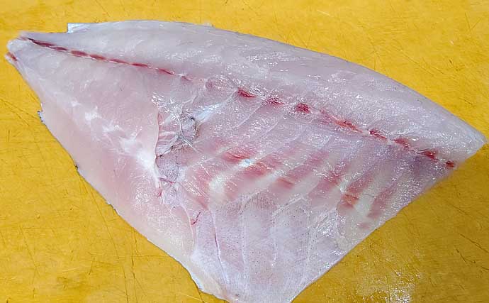 厄介な定番ゲスト魚 アイゴ の下処理方法 安全に美味しく食べるために Tsurinews Part 2