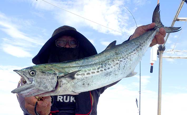 ジギング 飲ませサビキ釣行 ハマチ連発にサワラのオマケ付き 鳴門 Tsurinews