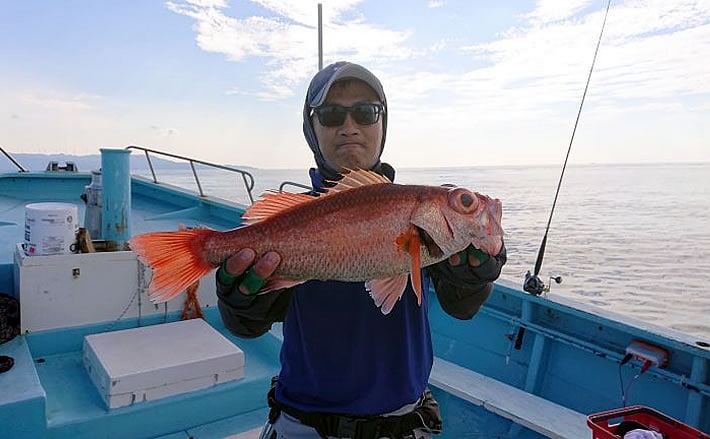 伊豆半島 沖の 高級魚 釣果速報 アカムツにキンメにシマアジも Tsurinews