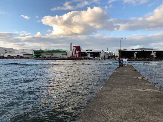 【2020】岸壁際『ジグ単カサゴゲーム』のススメ　堤防釣り入門に最適