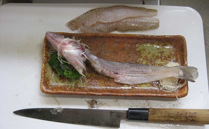 【釣果レシピ】釣り人の特権『キスの刺し身』　下処理～盛り付けまで