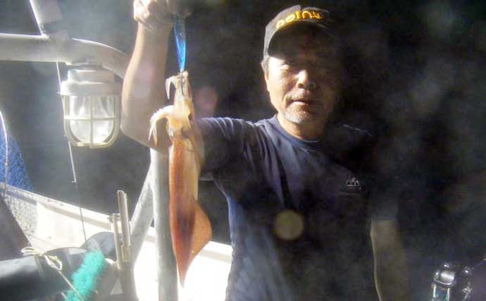 【福岡】夜焚きイカ最新釣果　パラソル級交じりで130尾超えの大釣りも