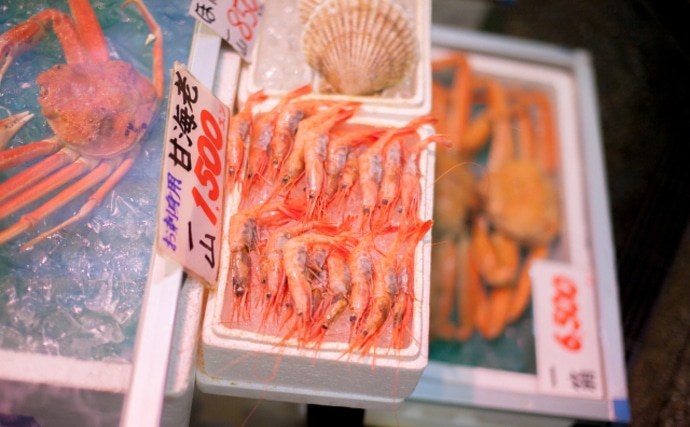 解禁直後の日本海「底引き網漁」で『ニギス』豊漁　通が知る美味しい魚？