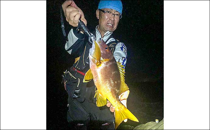 夜の沖磯ぶっこみ釣りで48cmシブダイ　ウニエサにヒット【宮崎・油津】