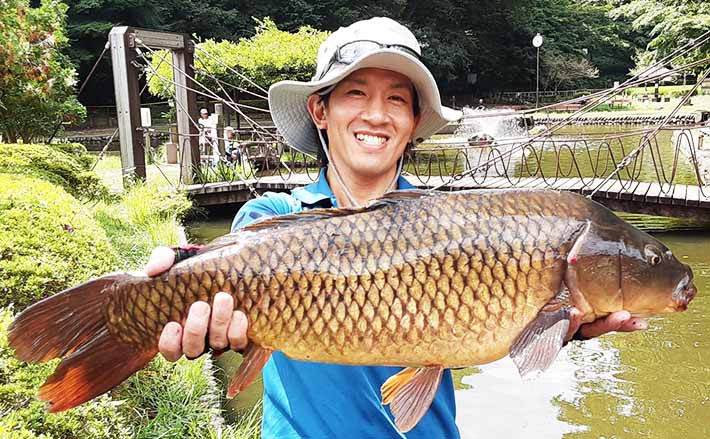パンコイ』釣りで73cm大物手中 「沈みパン」がキモ？【野山北公園