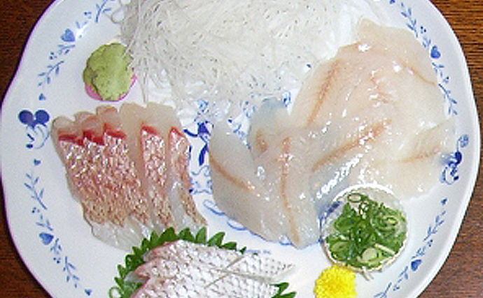 ウマヅラの高級魚 アカヤガラ は初秋が旬 見た目は悪いが味は上品 Tsurinews