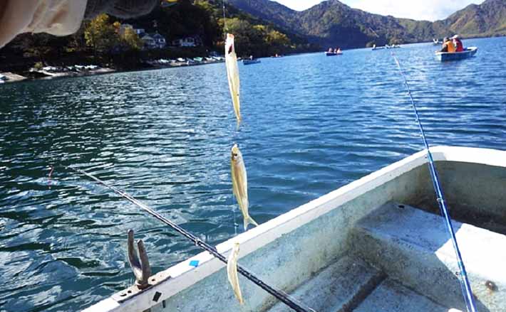 紅葉に囲まれながら楽しむワカサギ釣りのススメ 中禅寺湖にて解禁間近 Tsurinews Part 3