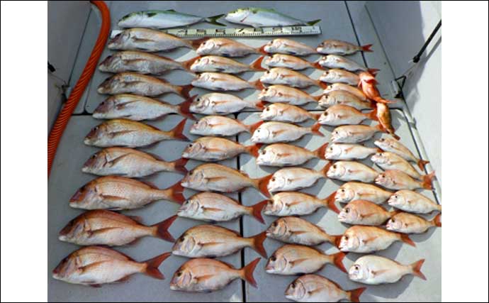 【愛知】沖釣り最新釣果　『ウタセマダイ』で50cm級頭に本命50匹