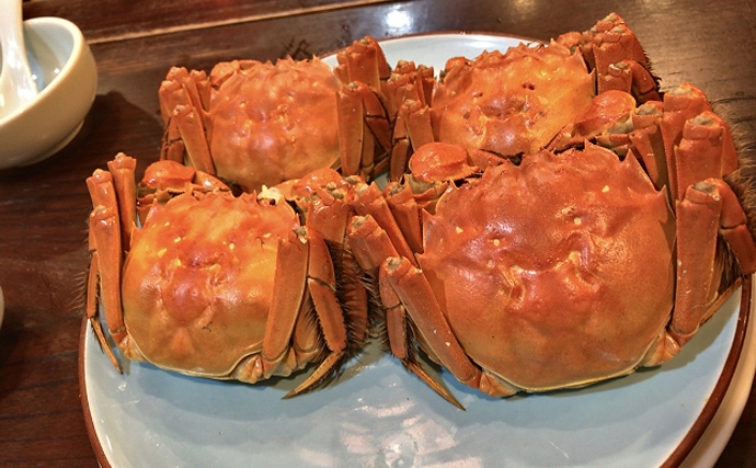 秋の味覚『モクズガニ漁』がスタート　実は高級「上海蟹」と同じ味？