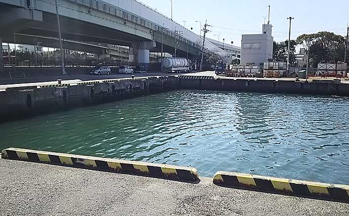 【大阪湾2020秋】波止の良型アジを「サビキ釣り」で狙うコツ4選