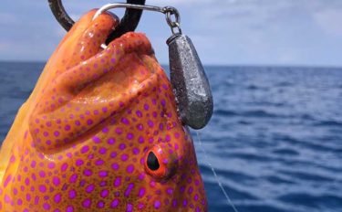 沖縄生まれのシンプルルアー『オモック』　釣れなさそうなのに釣れる？