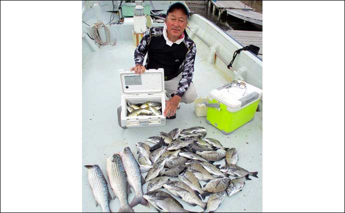 【三重】イカダ＆カセ最新釣果　良型マダイにカンパチにクロダイ数釣りも