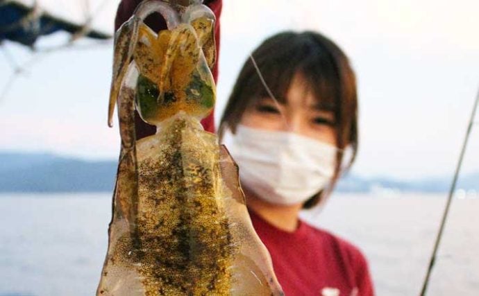 静岡 福井 沖釣り最新釣果 ティップランでアオリイカ続々顔出し Tsurinews
