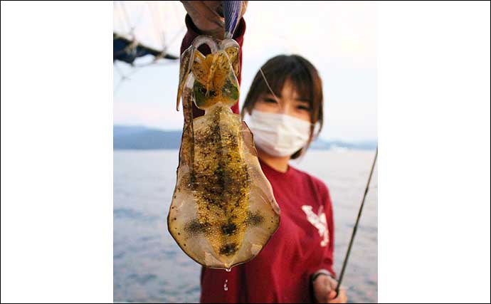 【静岡・福井】沖釣り最新釣果　ティップランでアオリイカ続々顔出し