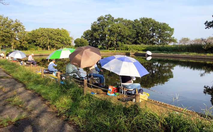 今週のヘラブナ推薦釣り場【群馬県・群馬の水郷】 | TSURINEWS
