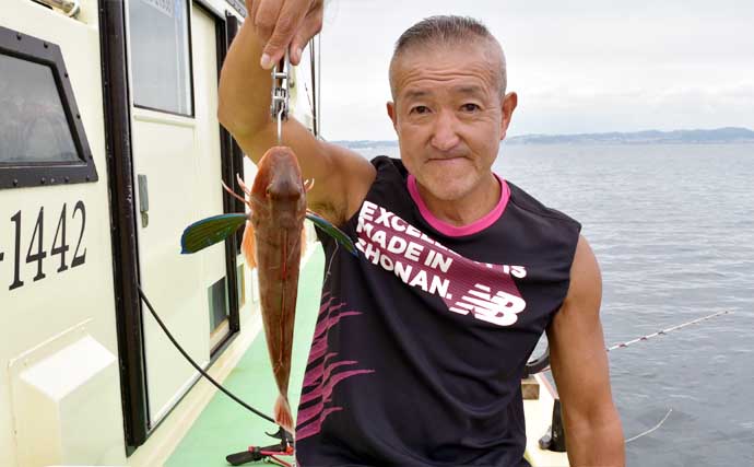 相模湾『アマダイ』釣りシーズン開始　35cm頭に本命5尾【まごうの丸】