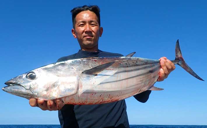 福岡 佐賀 沖のルアー釣り最新釣果 キャスティングで8kg級カツオ Tsurinews
