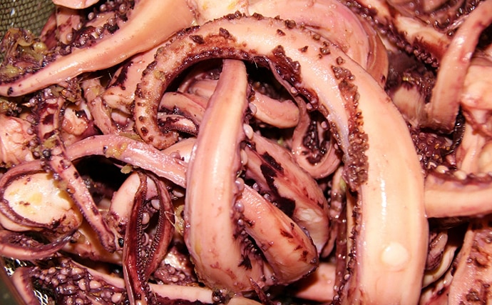 食用イカ界最大級の『ソデイカ』は秋が旬　冷凍した方が美味になる？