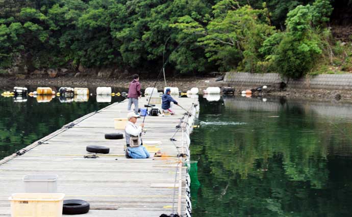 三重県の人気『海上釣り堀』10選　初心者から上級者まで満喫間違いなし