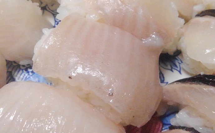 見た目がモンスターな サメガレイ 実は 全身大トロ で味は抜群 Tsurinews