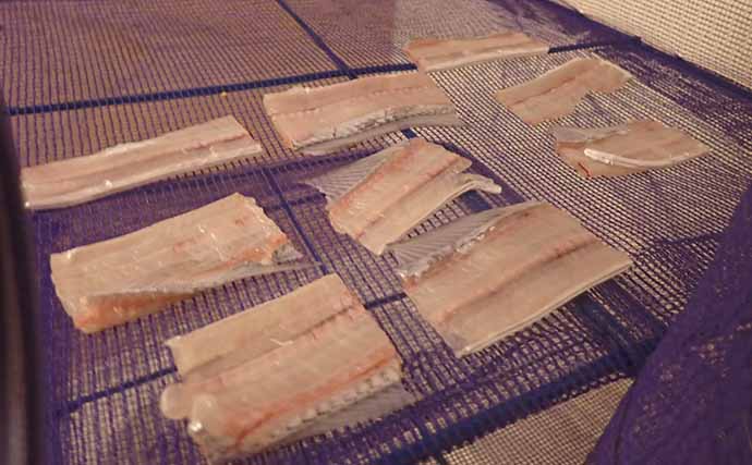 【釣果レシピ】タチウオの「骨せんべい」　栄養抜群のオヤツ＆オツマミ
