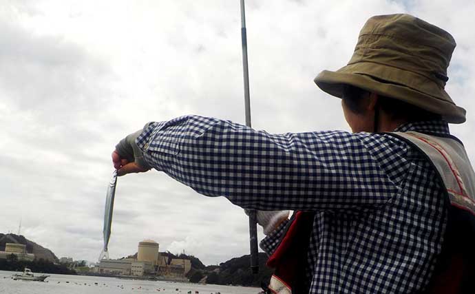 陸っぱり「サヨリ」釣りで本命183匹の大漁釣果に満足【福井・丹生漁港】