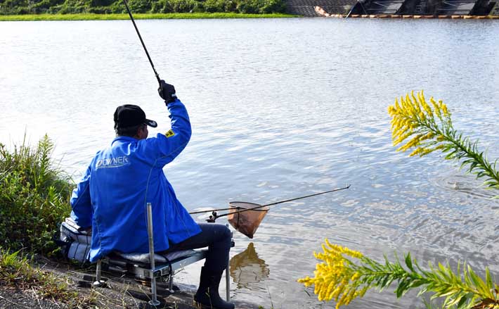 今週のヘラブナ推薦釣り場【千葉県・小糸川】 TSURINEWS