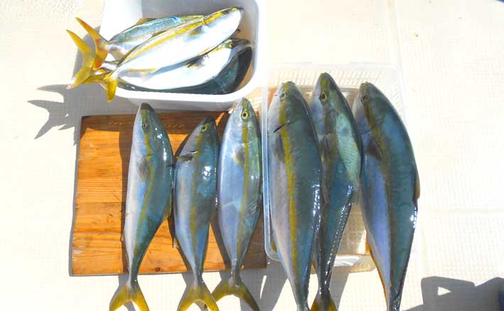 81292b3b181a34b6589e3678bf6d13