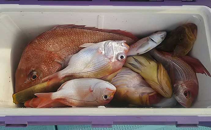 高級魚アマダイをタイラバで狙う『アマラバ』で好釣果【福井・美浜沖】