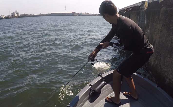 東海 岸壁シーバスゲーム攻略法 ルアーにひと手間が秘策 Tsurinews