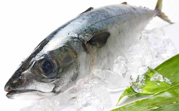 青森でサバの水揚げが盛況 ブランドサバ 八戸前沖さば とは Tsurinews