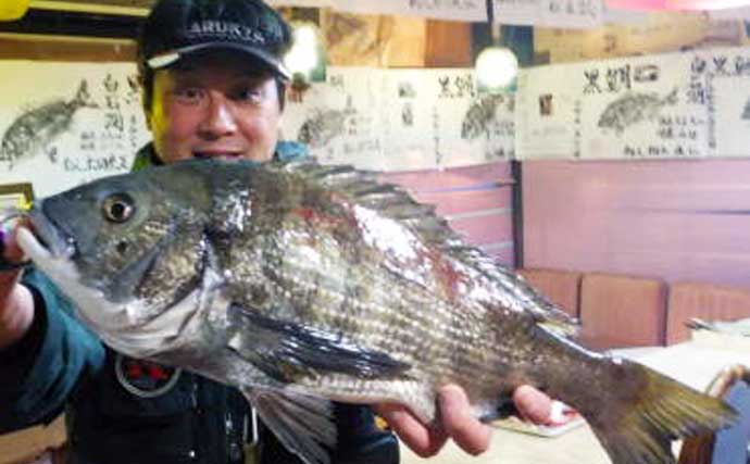 【三重】イカダ＆カセ最新釣果　75cm大型マダイ浮上にアオリイカも好調