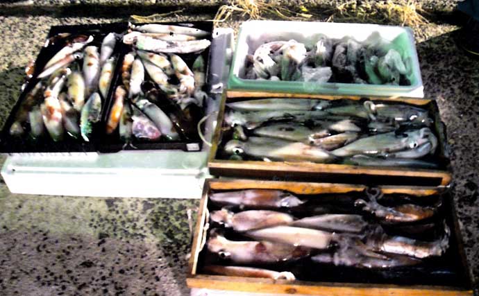 【玄界灘】沖のルアー釣り最新釣果　タイラバ絶好調でマダイや根魚続々