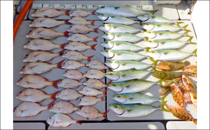 【愛知】沖のエサ釣り最新釣果　カカリ釣りでマダイ＆青物が爆釣