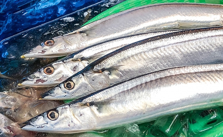 7 10月の全国サンマ漁獲量は過去最低に 背景にある 魚種交替 とは Tsurinews