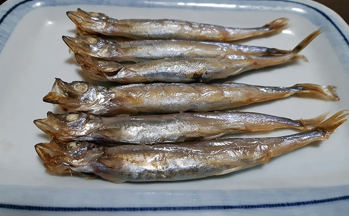 北海道むかわ町の『本ししゃも』が記録的不漁　ブランド魚としても有名