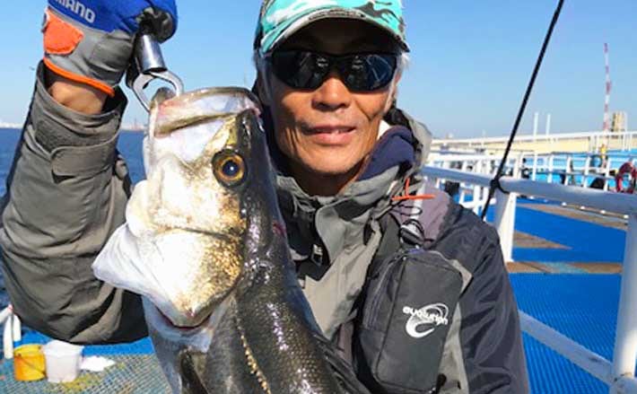 海釣り オリジナルメーカー海づり公園』で泳がせ釣りに65cm大型シーバス浮上