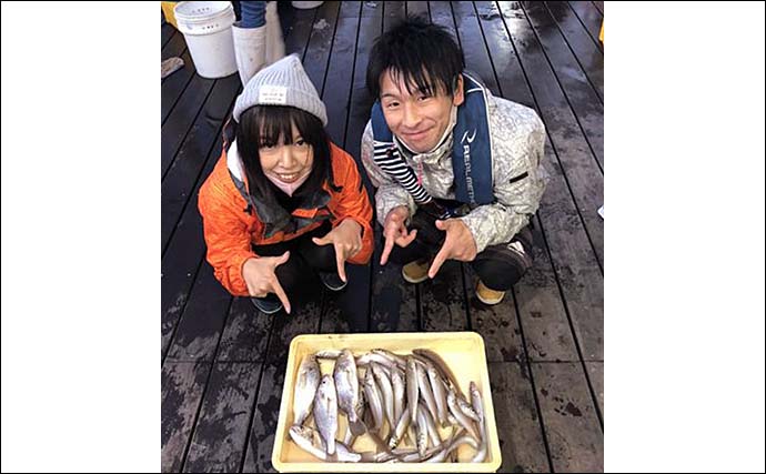 【東京湾2020】冬の船シロギス釣り解説　寒い時期は脂のって食味アップ