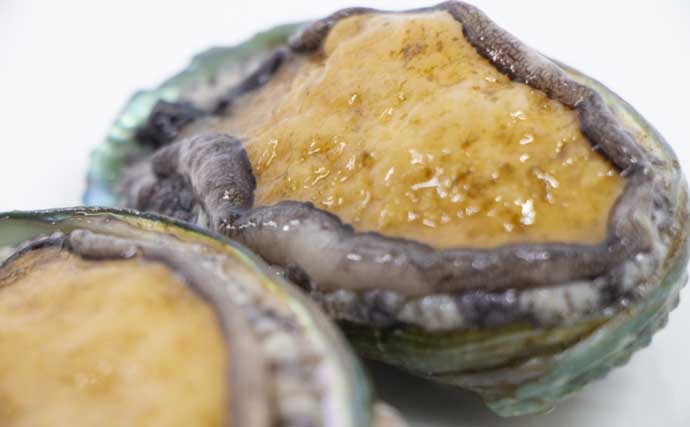 【東日本】11月に旬を迎える海の幸4選　『アンコウ鍋』が美味しい季節に