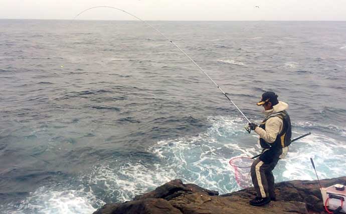 和歌山の磯『グレ』釣り場紹介：名礁並ぶ出雲崎エリアを徹底ガイド