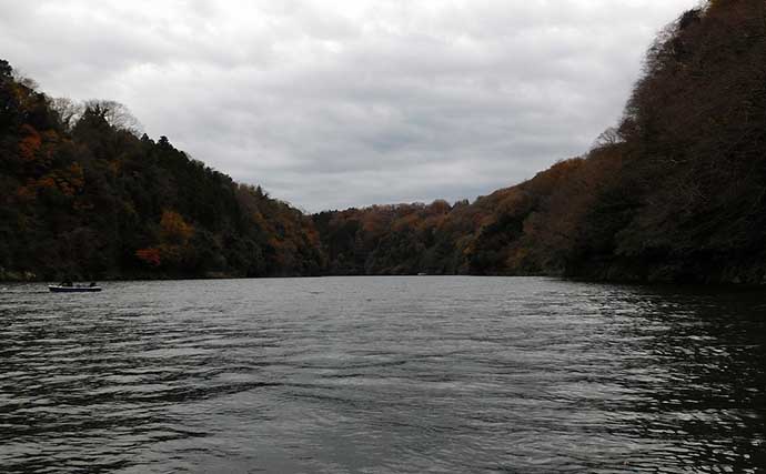 津久井湖で「ボートワカサギ」快釣　底釣り中心に467尾【沼本ボート】