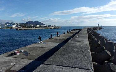 冬も楽しい阪神～神明間の沖堤防＆釣り公園　ミャク＆カゴ釣りで満喫