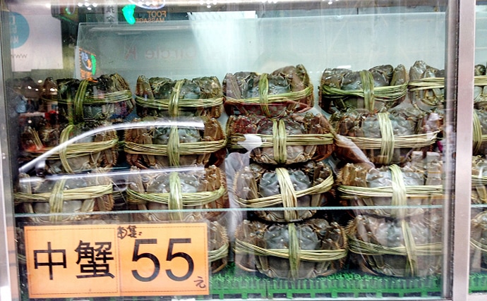 高級食材の「上海ガニ」を秋田で養殖　食用ではなく健康食品の原料に？