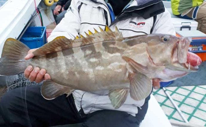【福岡】沖のエサ釣り最新釣果　好調の「アジ泳がせ」で4kg級アラ