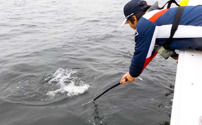 【伊勢湾2020】冬の『青物ジギング』入門　船宿探し・タックル・釣り方