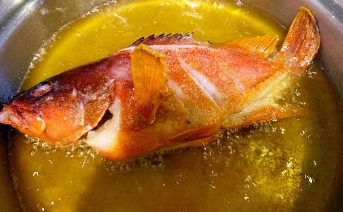 釣魚で作るおせち料理レシピ：「アカハタ」の丸揚げ　見た目も華やかに