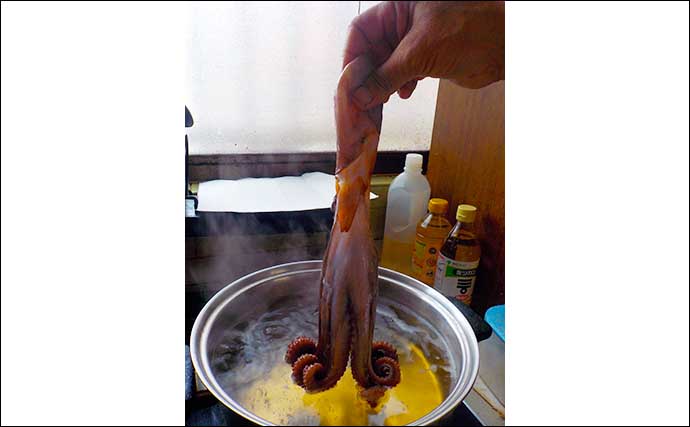釣魚で作るおせち料理レシピ：マダコと里芋の煮物＆酢ダコ