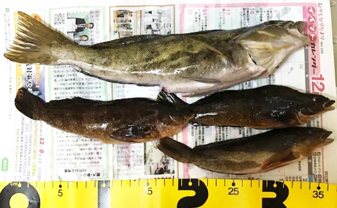 カサゴゲーム好釣り場：大阪湾・須磨以西　『堤防の継ぎ目』を狙おう